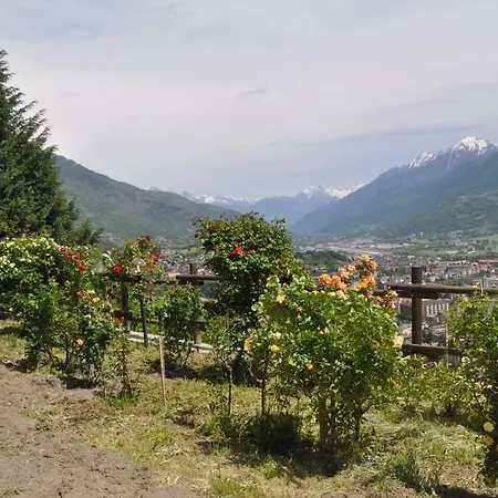 Bed & Breakfast Il Delfino