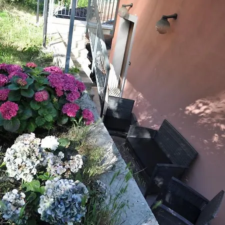 Bed & Breakfast Il Delfino *